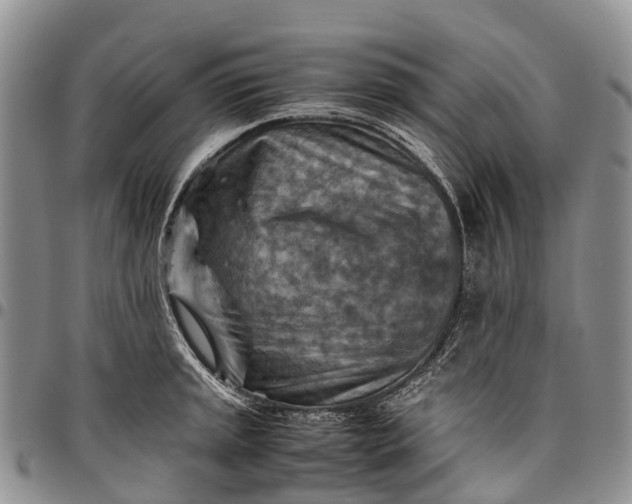 X0000094801045200711301535