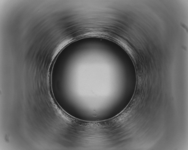 X0000094801050200711301535