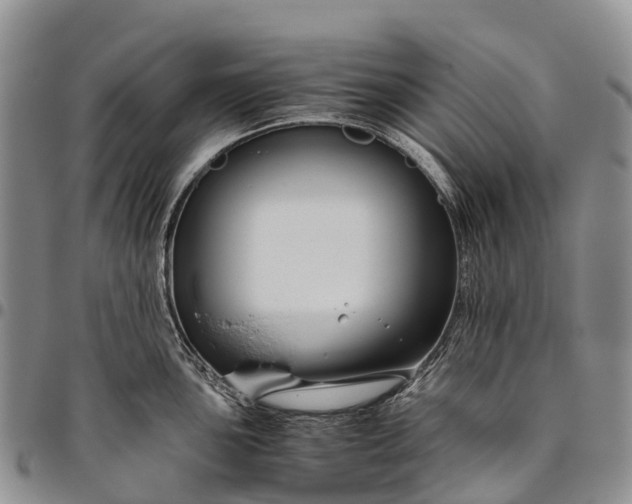 X0000094801051200711301535