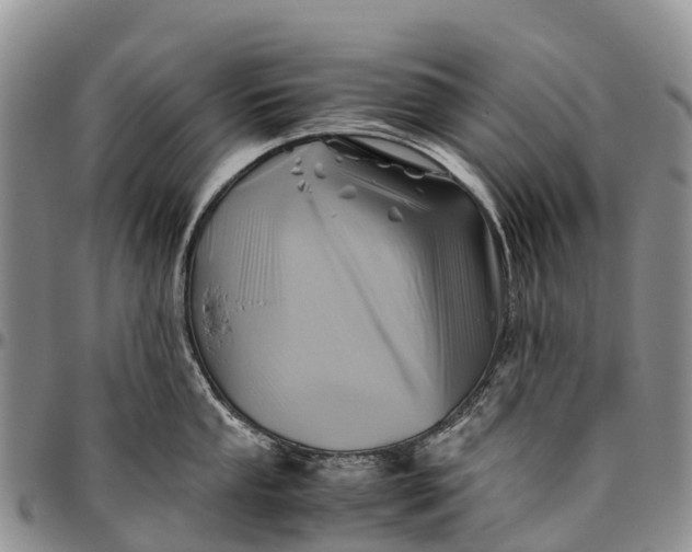 X0000094801053200711301535