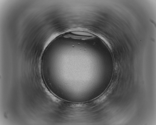 X0000094801054200711301535