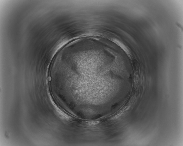 X0000094801055200711301535