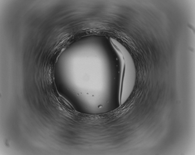 X0000094801060200711301534