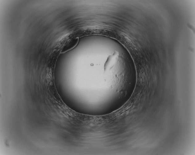 X0000094801062200711301534