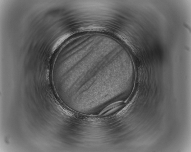 X0000094801066200711301534