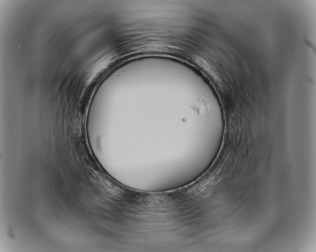 X0000094801067200711301534