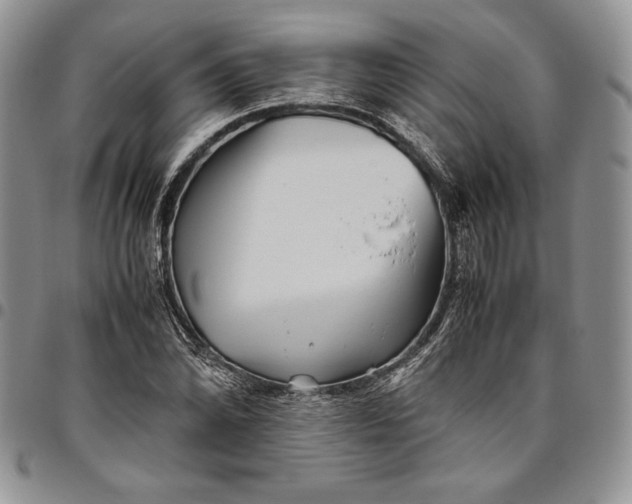 X0000094801070200711301534