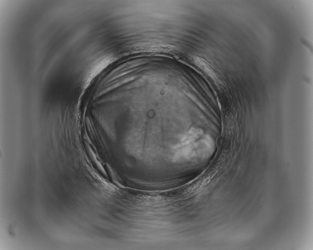 X0000094801071200711301534