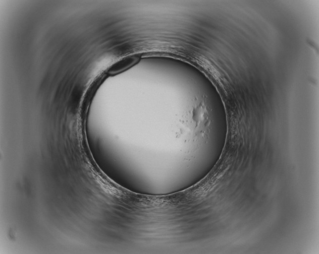 X0000094801072200711301534