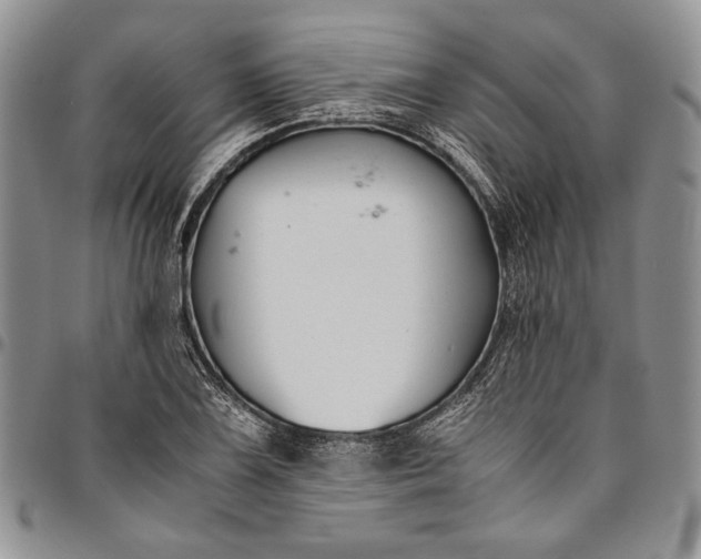 X0000094801075200711301534
