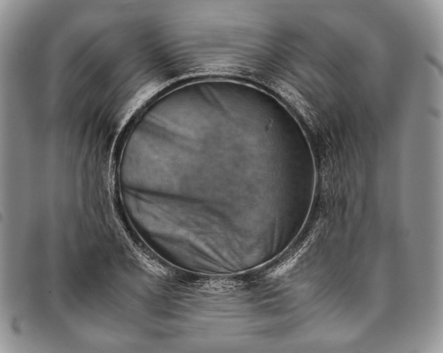 X0000094801077200711301534