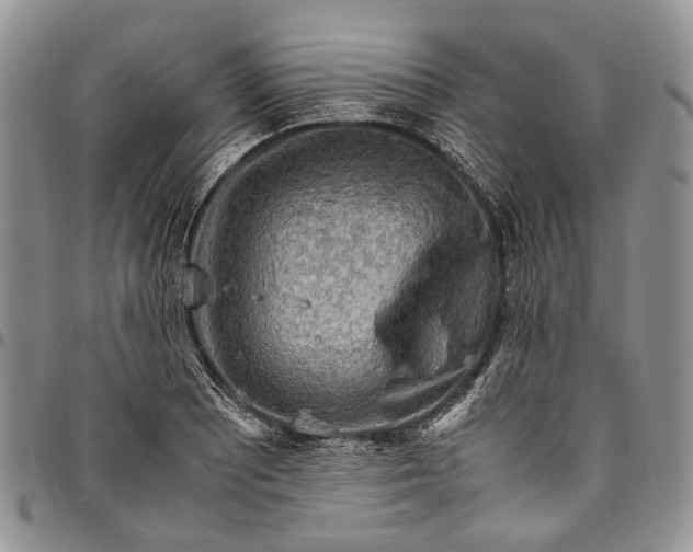 X0000094801081200711301534