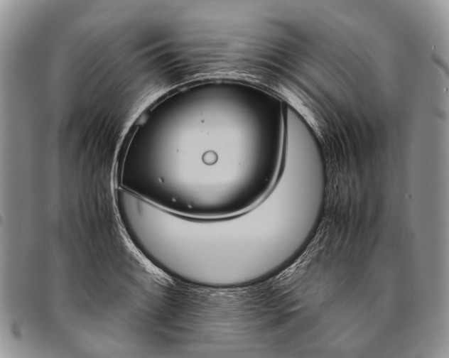 X0000094801084200711301534