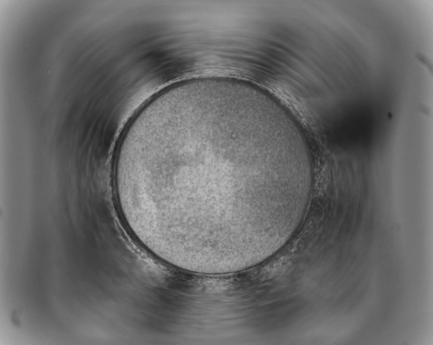 X0000094801086200711301534