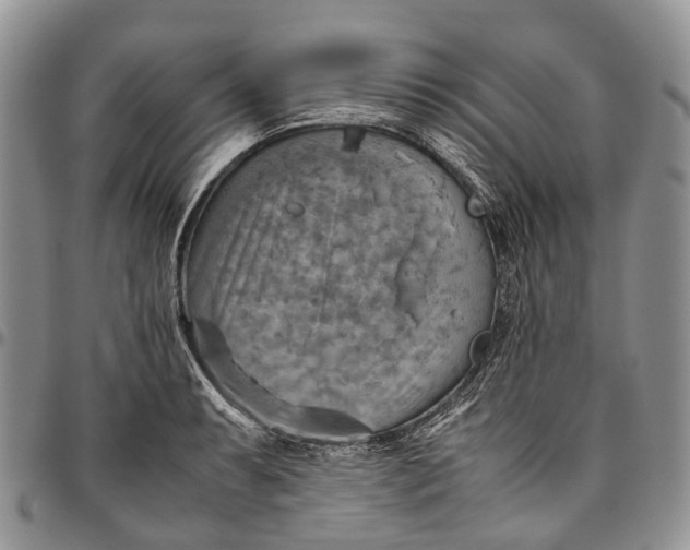 X0000094801087200711301534