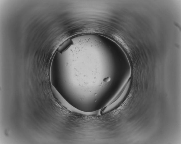 X0000094801089200711301534