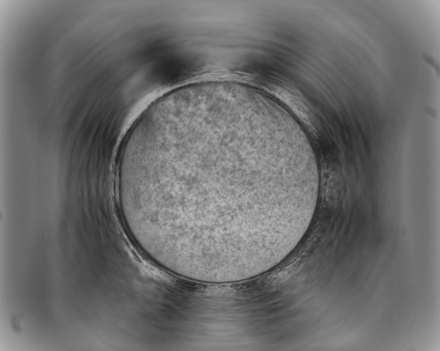 X0000094801094200711301534