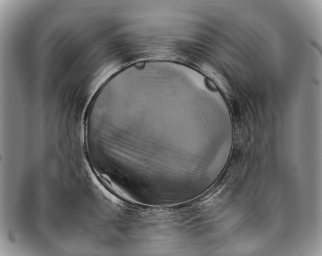 X0000094801095200711301534