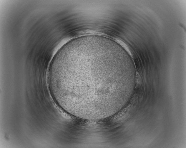 X0000094801098200711301534