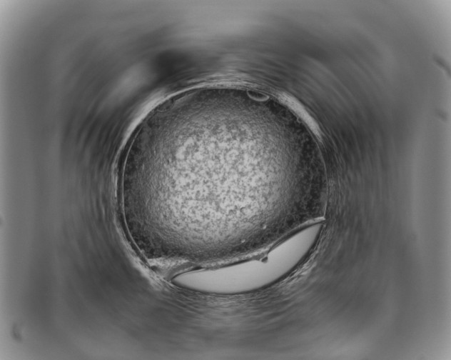 X0000094801099200711301534