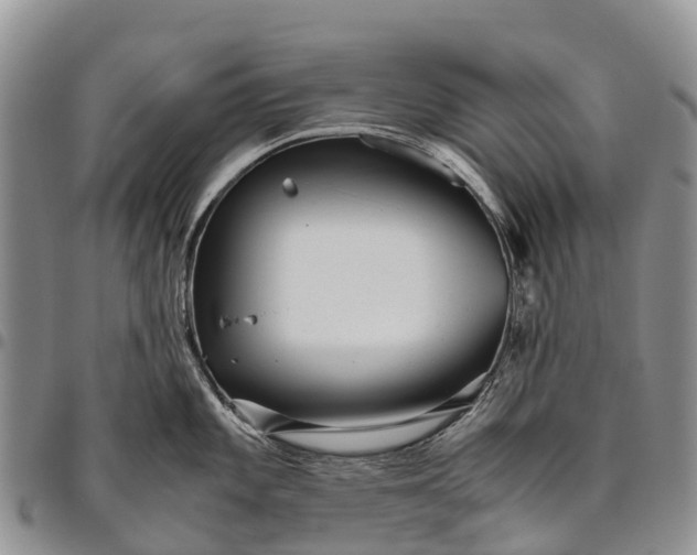 X0000094801101200711301534