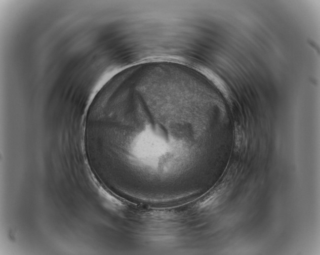 X0000094801102200711301534