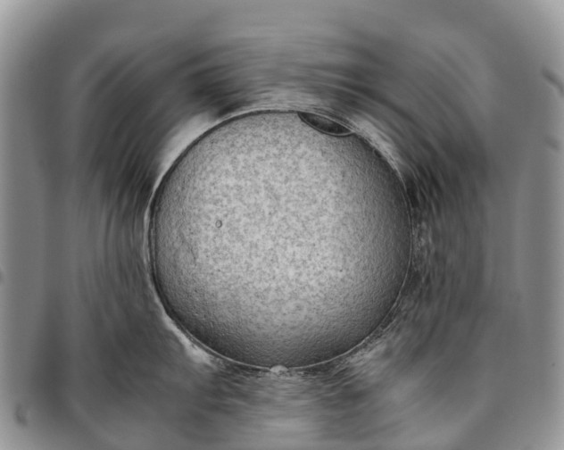 X0000094801103200711301534