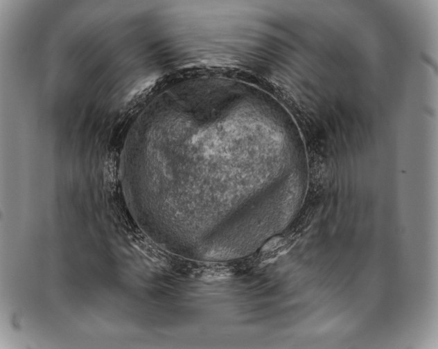 X0000094801110200711301533