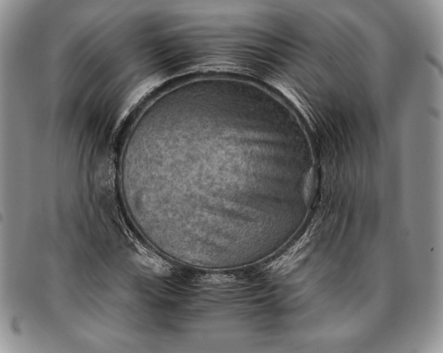 X0000094801115200711301533