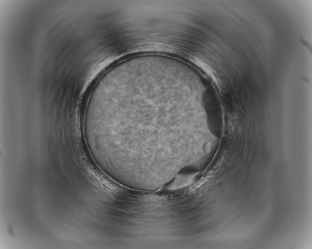 X0000094801120200711301533