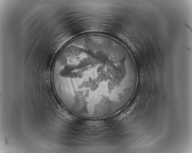 X0000094801121200711301533