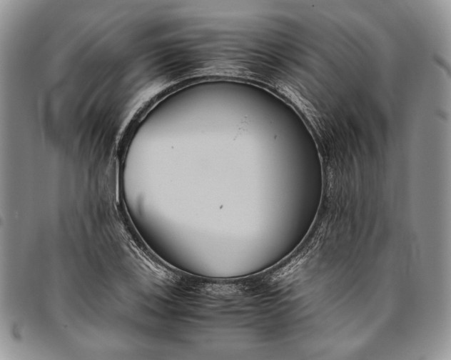 X0000094801123200711301533