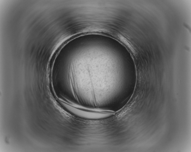 X0000094801124200711301533