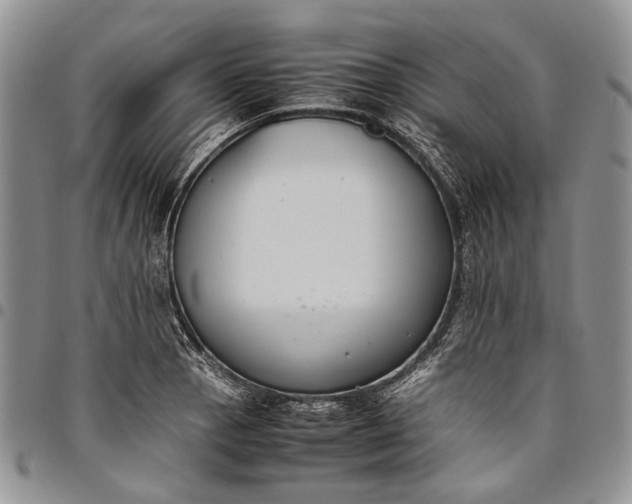 X0000094801129200711301534