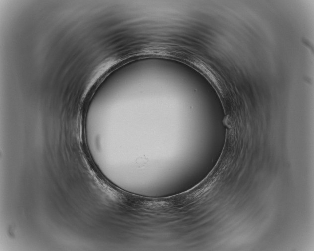 X0000094801131200711301534