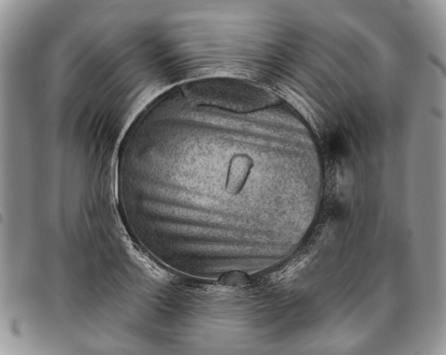 X0000094801132200711301534