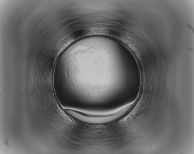 X0000094801137200711301534