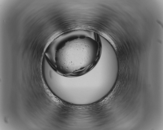 X0000094801138200711301534