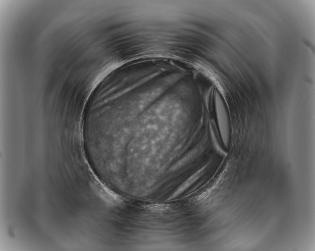 X0000094801141200711301534