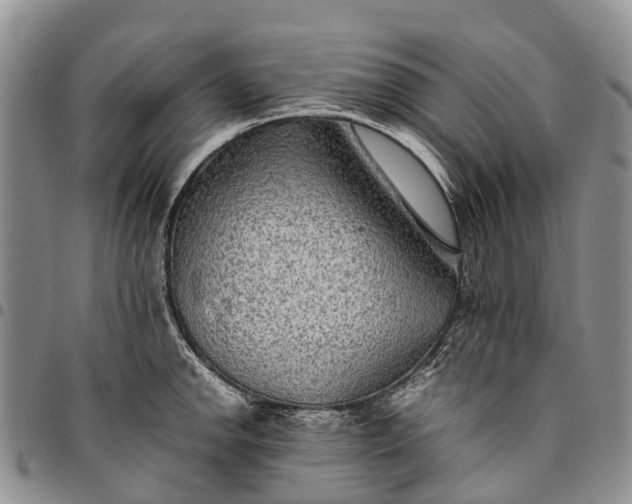 X0000094801142200711301534