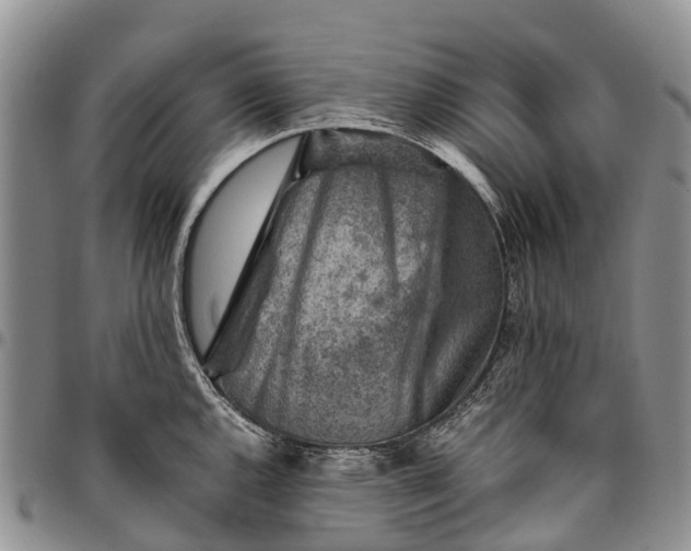 X0000094801144200711301534