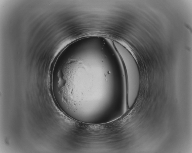 X0000094801147200711301534