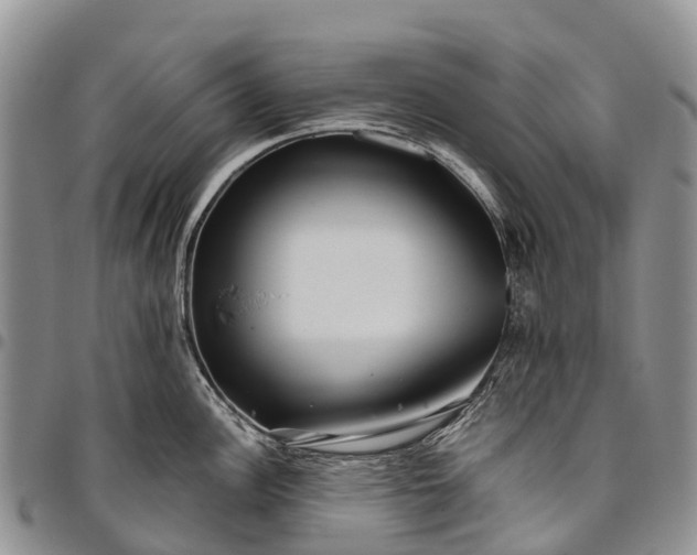 X0000094801148200711301534