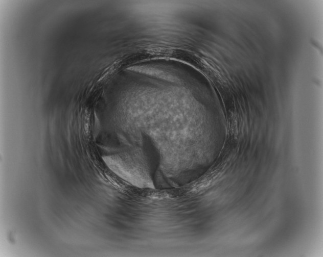 X0000094801154200711301533