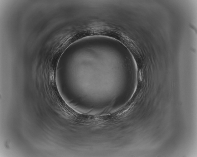 X0000094801155200711301533