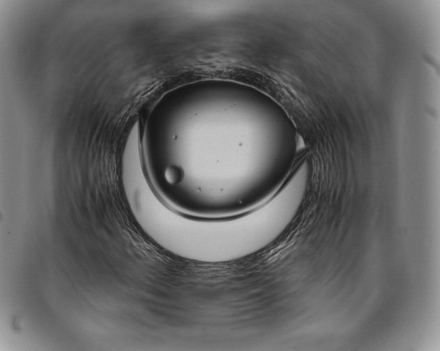 X0000094801156200711301533