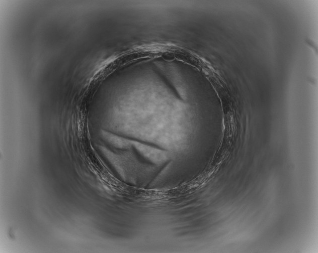 X0000094801158200711301533