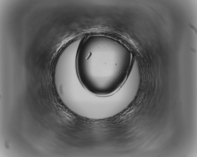 X0000094801160200711301533