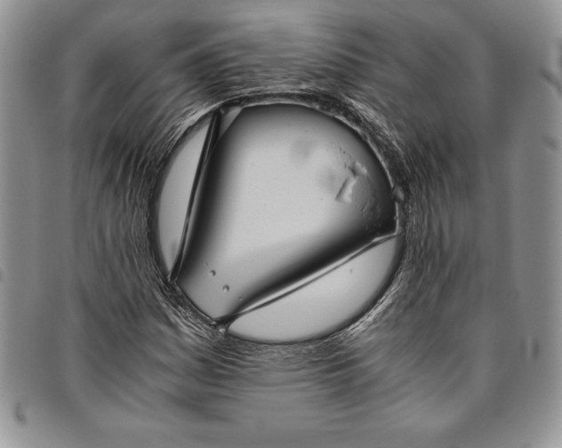 X0000094801161200711301533
