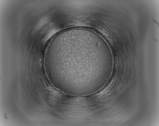 X0000094801163200711301533